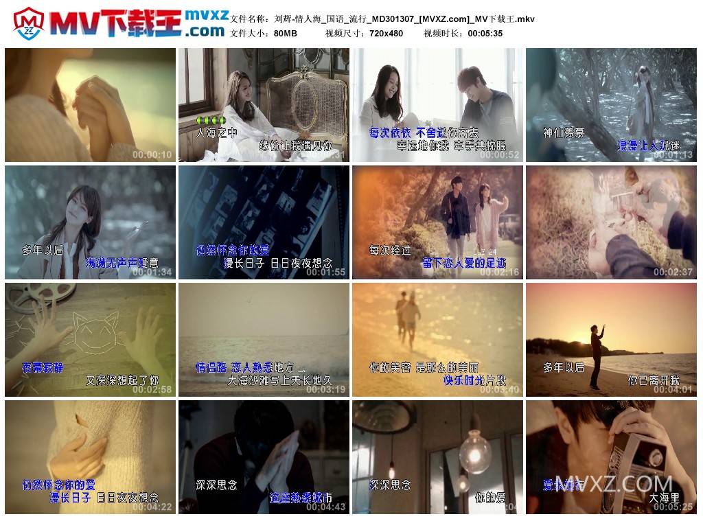 刘辉-情人海_国语_流行_MD301307